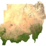 إنحسار الغطاء النباتي في السودان إلى 10,3% من المساحة الكلية