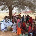 تحالف المدافعين السودانيين يدين الدعم السريع ويطالب بوقف هجوم معسكر زمزم